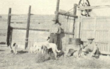 Harry Sweet and Russell Phipps with coyote hounds